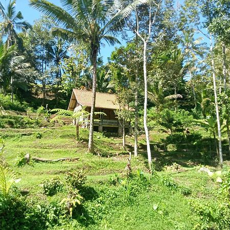 Duegoal Farmhouse Jatiluwih Exterior foto