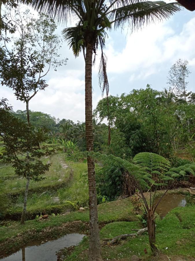 Duegoal Farmhouse Jatiluwih Exterior foto