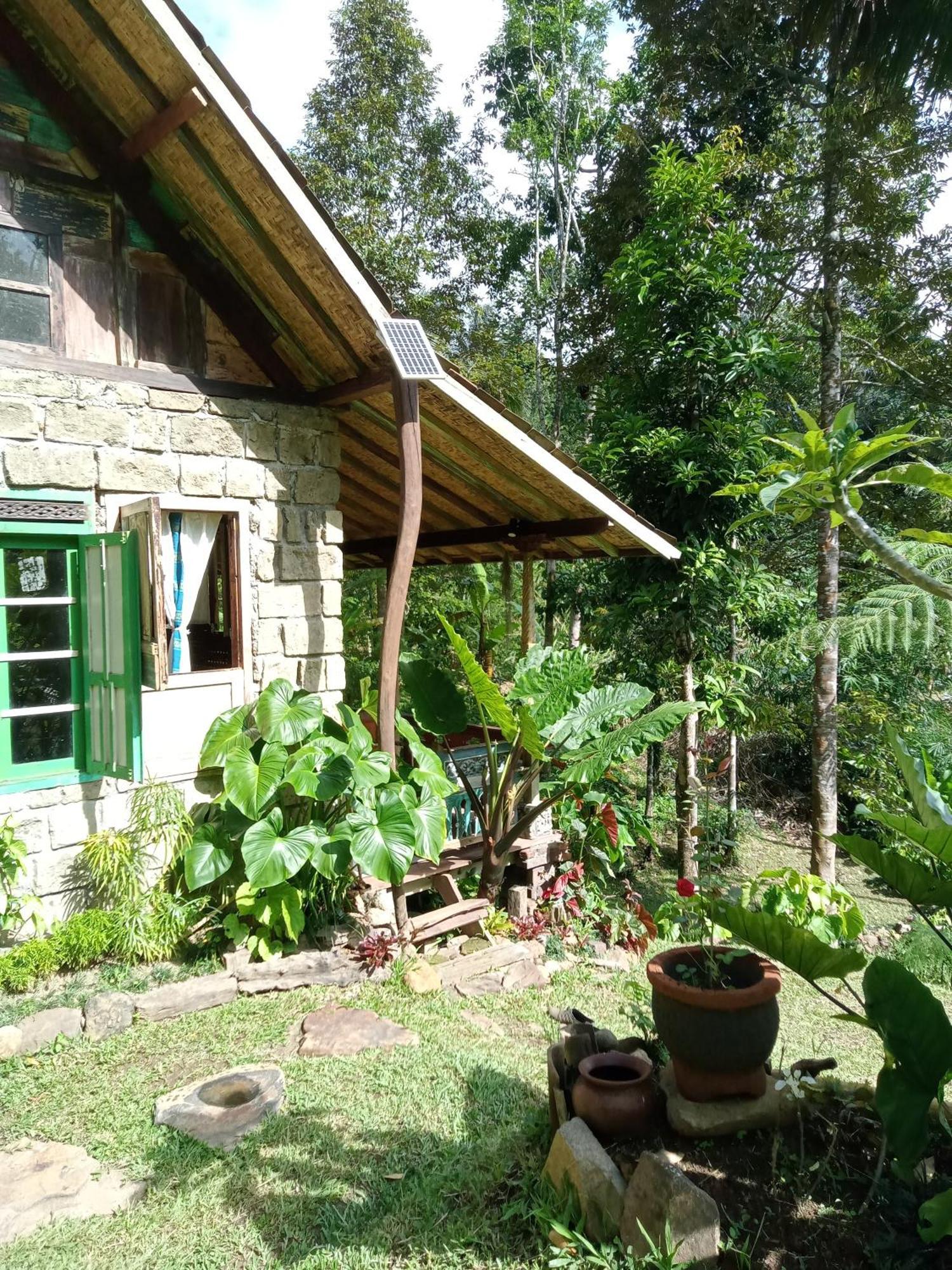 Duegoal Farmhouse Jatiluwih Exterior foto