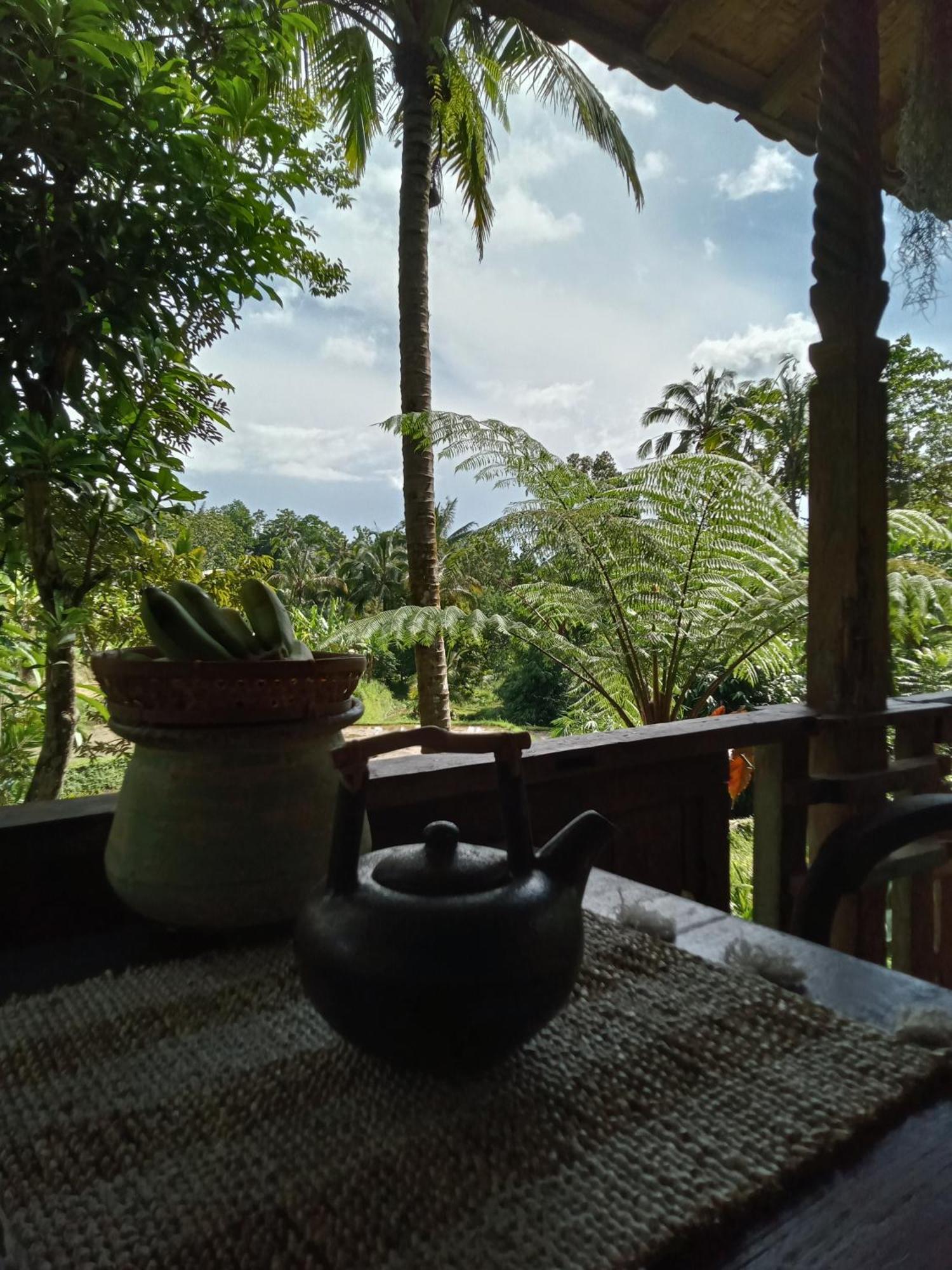 Duegoal Farmhouse Jatiluwih Exterior foto